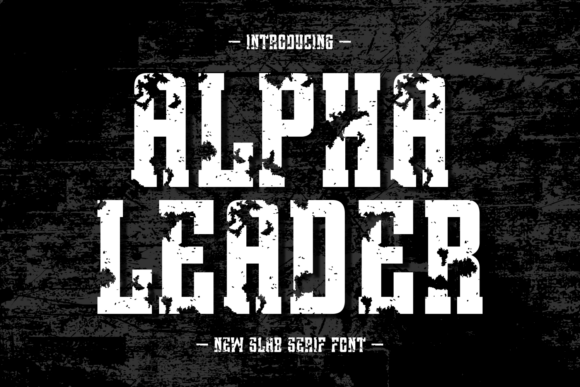 Alpha Leader Font Review